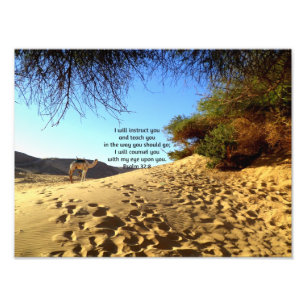 Bible Verses Inspirational Quote Psalm 32:8 Photo Print
