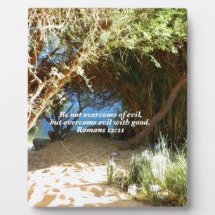 Bible Verses Love Quote Saying Romans 12:21 Plaque