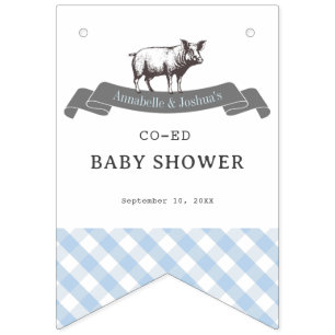 Bibs & Ribs BBQ Rustic Blue Gingham Baby Shower Bunting