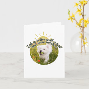 Bichon & Ball Dandelion Days  Card