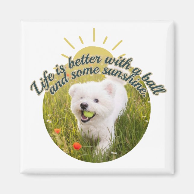 Bichon & Ball Dandelion Days  Magnet (Front)