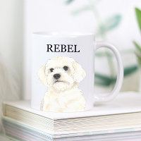 Bichon, Bolognese, Coton, Havanese, Maltese