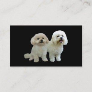Bichon Breeder Business Card