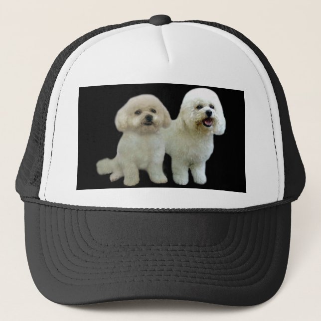 Bichon Buddies Hat (Front)