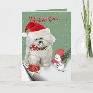 Bichon Christmas design Holiday Card