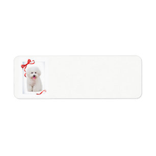 Bichon Christmas Return Address Labels