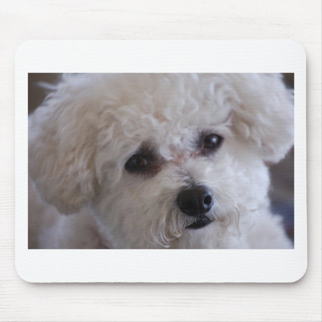 Bichon close up mouse pad (Front)
