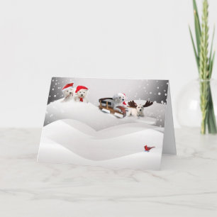 Bichon Faces A Merry Christmas Greeting Card