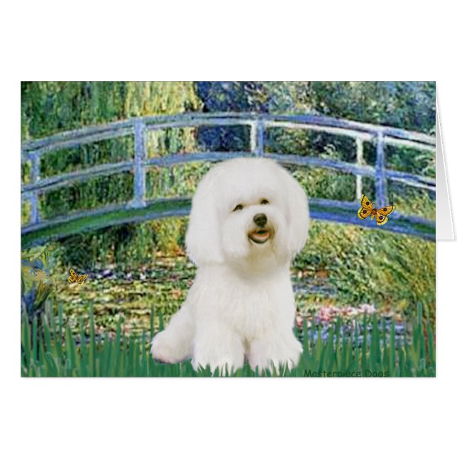 Bichon Frise 1 - Bridge (Front Horizontal)