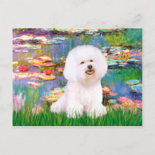 Bichon Frise 1 - Lilies 2 Postcard