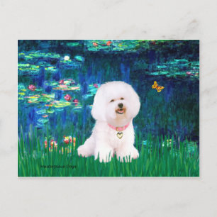 Bichon Frise 1 - Lilies #5 Postcard