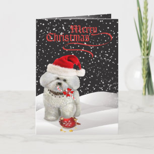 Bichon Frise A Merry Christmas Greeting Card