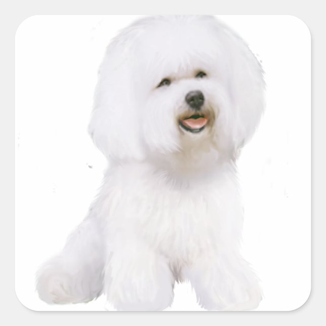 Bichon Frise (A) Square Sticker (Front)