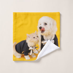 Bichon frise and kitty, best friends wash cloth