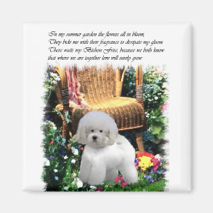 Bichon Frise Art Gifts Magnet