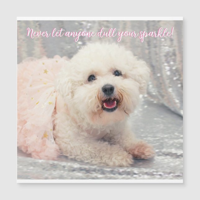 Bichon Frise Ballerina Christmas Positive vibes  (Front)
