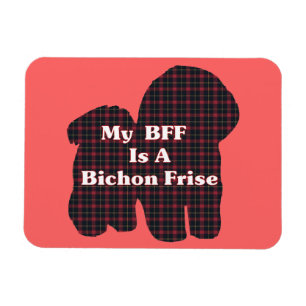 Bichon Frise BFF Magnet