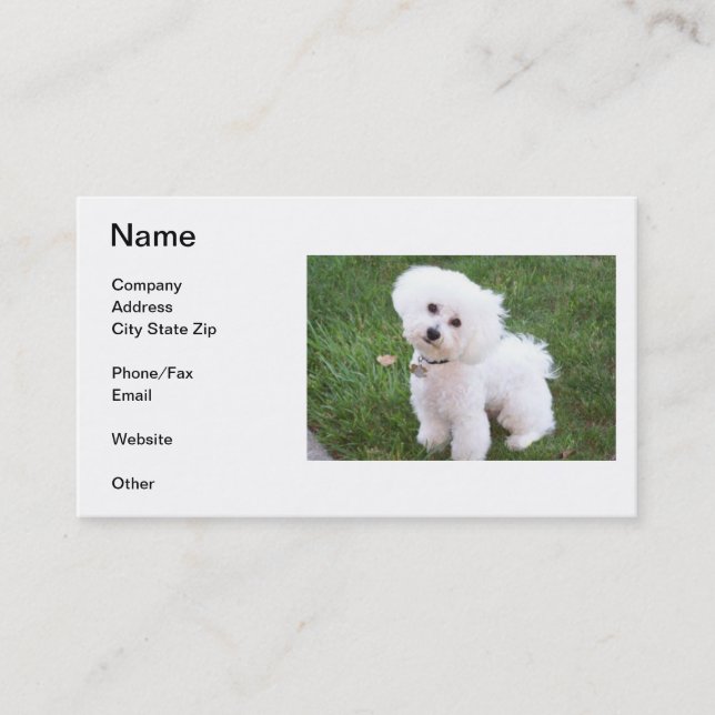 Bichon Frise Business Card (Front)