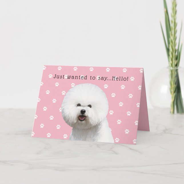 Bichon Frise Card (Front)
