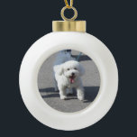 Bichon Frise Ceramic Ornament<br><div class="desc">Bichon Frise Ceramic Ornament</div>