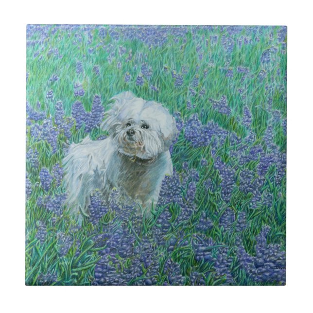 Bichon Frise Ceramic Tile (Front)