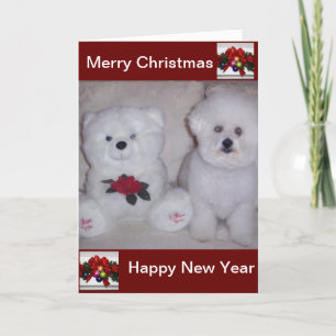 Bichon frise christmas card