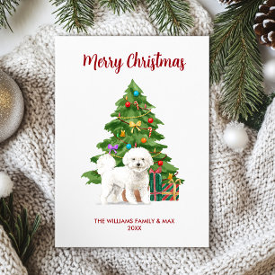 Bichon Frise Christmas Card