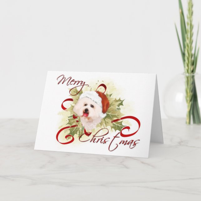 Bichon Frise Christmas Cards (Front)