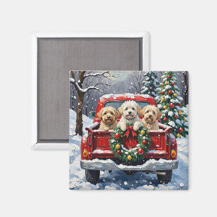 Bichon Frise Christmas Red Truck Holiday Magnet