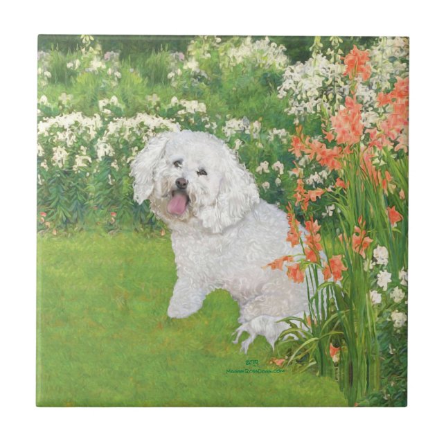 Bichon Frise Coral Fantasy Tile (Front)