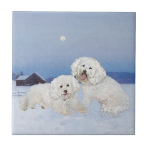 Bichon Frise December Evening Ceramic Tile