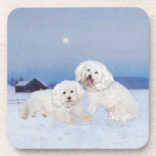 Bichon Frise December Evening Coaster