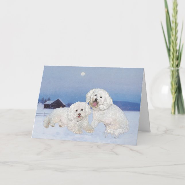 Bichon Frise December Evening Holiday Card (Front)