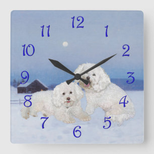 Bichon Frise December Evening Square Wall Clock