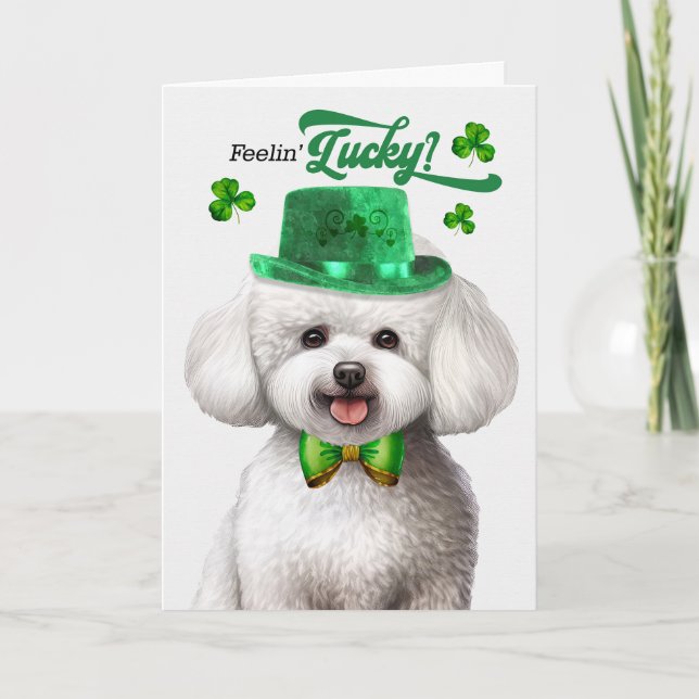 Bichon Frise Dog Feelin' Lucky St Patrick's Day Holiday Card (Front)