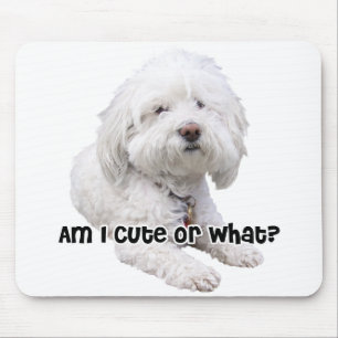 Bichon Frise Dog Mouse Pad