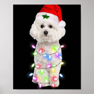 Bichon Frise Dog Santa Christmas Tree Lights Xmas  Poster