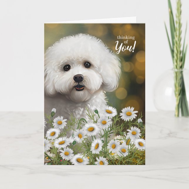 Bichon Frise Dog Thinking of You Daisies Card (Front)