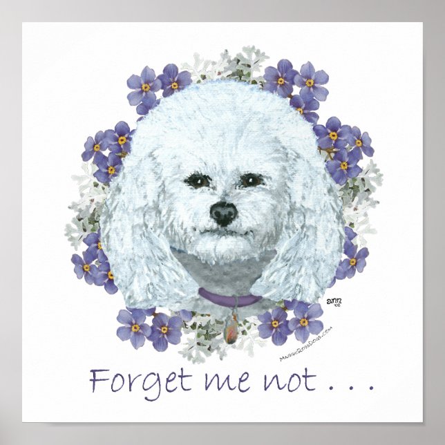 Bichon Frise - Forget Me Nots Poster (Front)