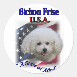 Bichon Frise Gifts Classic Round Sticker