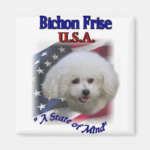 Bichon Frise Gifts Magnet