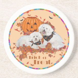 Bichon Frise Halloween Coaster