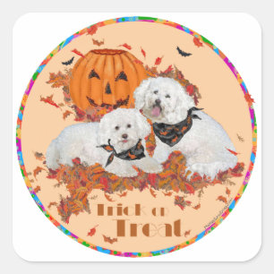 Bichon Frise Halloween Square Sticker