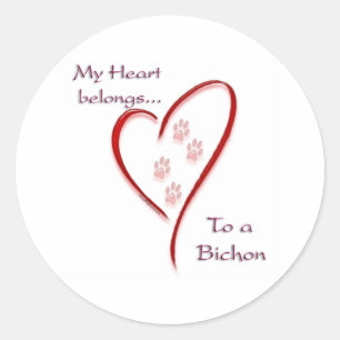 Bichon Frise Heart Belongs Classic Round Sticker