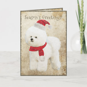 Bichon Frise Holiday Card