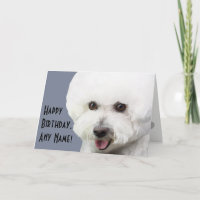 Bichon Frise Illustrated Birthday Card