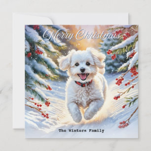 Bichon Frise in Snow Cute Dog Winter Christmas Holiday Card