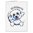 Bichon Frise Its All About Me