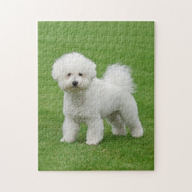 Bichon Frise Jigsaw Puzzle (Vertical)
