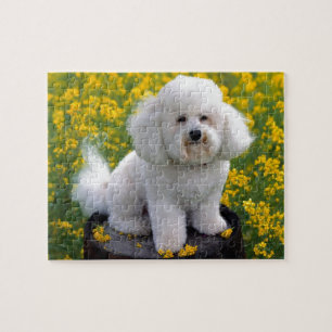 Bichon Frise Jigsaw Puzzle